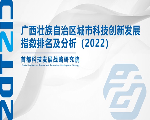 小穴被操视频【成果发布】广西壮族自治区城市科技创新发展指数排名及分析（2022）